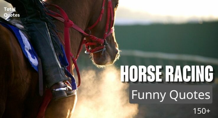 Horse racing quotes